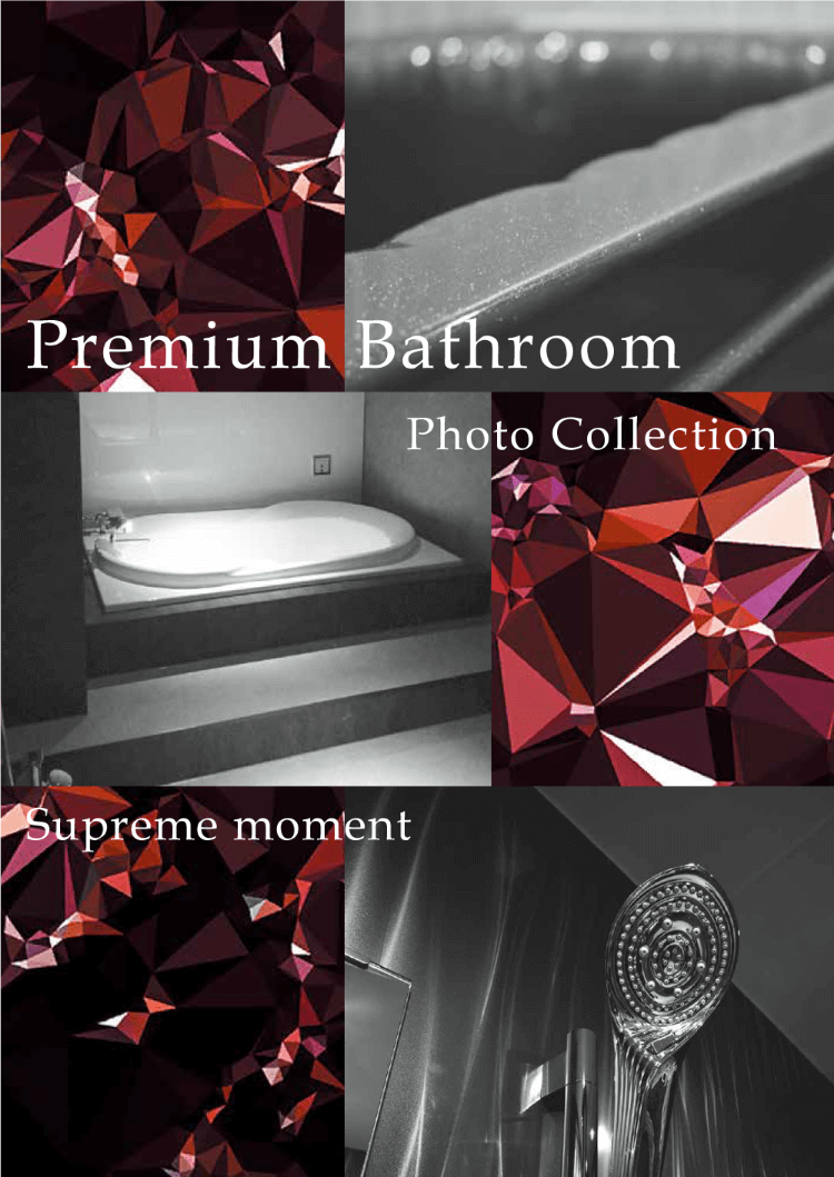 Premium Bathroom Photo Collection Vol.1